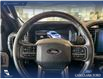 2024 Ford F-150 XLT (Stk: RC20062) in Airdrie - Image 14 of 24