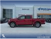 2019 Ford F-150 Lariat (Stk: P6963) in Olds - Image 3 of 5 2019 Ford F-150 Lariat (Stk: P6963) in Olds - Image 3 of 5
