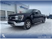 2022 Ford F-150 Lariat (Stk: P6962) in Olds - Image 1 of 5