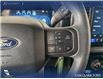2024 Ford F-150 STX (Stk: RC20056) in Airdrie - Image 16 of 25