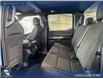 2024 Ford F-150 STX (Stk: RC20056) in Airdrie - Image 23 of 25