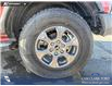 2024 Ford Bronco Big Bend (Stk: P6977) in Olds - Image 6 of 24