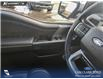 2025 Ford F-150 Platinum (Stk: U38027) in Red Deer - Image 17 of 25