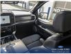 2025 Ford F-150 Platinum (Stk: U38027) in Red Deer - Image 25 of 25