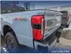 2024 Ford F-350 Platinum (Stk: P7000) in Olds - Image 10 of 24