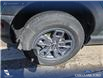 2024 Ford Bronco Sport Big Bend (Stk: P7001) in Olds - Image 6 of 24