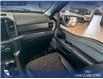 2024 Ford F-150 Tremor (Stk: RC20117) in Airdrie - Image 24 of 24