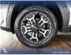 2025 Hyundai Tucson XRT (Stk: P15012) in Airdrie - Image 6 of 25