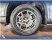 2023 Honda Pilot TrailSport (Stk: P15016) in Airdrie - Image 6 of 25