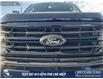 2025 Ford F-150 XLT (Stk: 25T5895) in Red Deer - Image 9 of 24