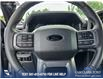2025 Ford F-150 XLT (Stk: 25AT3724) in Airdrie - Image 14 of 25