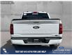 2025 Ford F-150 XLT (Stk: 25CT4971) in Canmore - Image 6 of 26