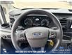 2025 Ford Transit-350 Cargo Base (Stk: 25T3039) in Olds - Image 14 of 25 2025 Ford Transit-350 Cargo Base (Stk: 25T3039) in Olds - Image 14 of 25