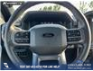 2025 Ford F-150 XLT (Stk: 25AT3720) in Airdrie - Image 14 of 25