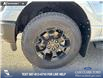 2025 Ford F-150 STX (Stk: 25T2598) in Red Deer - Image 6 of 24