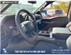 2025 Ford F-150 STX (Stk: 25T2598) in Red Deer - Image 12 of 24
