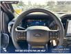 2025 Ford F-150 STX (Stk: 25T2598) in Red Deer - Image 13 of 24