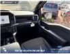 2025 Ford F-150 STX (Stk: 25T2598) in Red Deer - Image 24 of 24