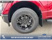 2025 Ford F-150 STX (Stk: 25T3233) in Red Deer - Image 6 of 24