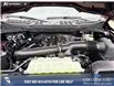 2025 Ford F-150 STX (Stk: 25T3233) in Red Deer - Image 8 of 24