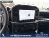 2025 Ford F-150 STX (Stk: 25T3233) in Red Deer - Image 18 of 24