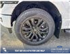 2025 Ford F-150 XLT (Stk: 25T7165) in Red Deer - Image 6 of 24
