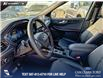 2025 Ford Escape ST-Line Elite (Stk: 25S2578) in Red Deer - Image 13 of 25