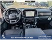 2025 Ford F-150 XLT (Stk: 25T8269) in Red Deer - Image 23 of 24