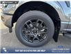 2025 Ford F-150 STX (Stk: 25T2750) in Red Deer - Image 6 of 24