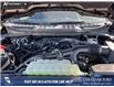 2025 Ford F-150 XLT (Stk: 25AT3372) in Airdrie - Image 10 of 25