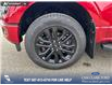 2025 Ford F-150 XLT (Stk: 25T7214) in Red Deer - Image 6 of 24