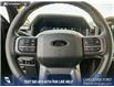2025 Ford F-150 XLT (Stk: 25AT3596A) in Airdrie - Image 14 of 25