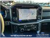 2025 Ford F-150 XLT (Stk: 25AT1510) in Airdrie - Image 19 of 25
