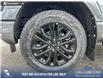 2025 Ford F-150 XLT (Stk: 25AT2383) in Airdrie - Image 6 of 25