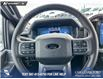 2025 Ford F-150 XLT (Stk: 25AT4374) in Airdrie - Image 14 of 25