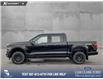 2025 Ford F-150 XLT (Stk: 25AT4343) in Airdrie - Image 3 of 25 2025 Ford F-150 XLT (Stk: 25AT4343) in Airdrie - Image 3 of 25