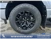2025 Ford F-150 XLT (Stk: 25AT9469) in Airdrie - Image 6 of 25