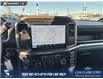 2025 Ford F-150 STX (Stk: 25T4170) in Olds - Image 19 of 25