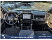 2025 Ford F-150 STX (Stk: 25T4170) in Olds - Image 24 of 25