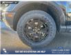 2026 Ford Bronco Sport Badlands (Stk: 26S4569) in Olds - Image 6 of 25
