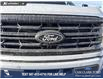 2026 Ford F-150 XLT (Stk: 26T8802) in Red Deer - Image 9 of 23 2026 Ford F-150 XLT (Stk: 26T8802) in Red Deer - Image 9 of 23