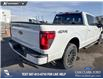 2026 Ford F-150 XLT (Stk: 26T8802) in Red Deer - Image 11 of 23 2026 Ford F-150 XLT (Stk: 26T8802) in Red Deer - Image 11 of 23