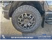 2026 Ford F-150 Tremor (Stk: 26T9752) in Red Deer - Image 6 of 24