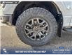 2026 Ford F-150 Tremor (Stk: 26T2093) in Red Deer - Image 6 of 24