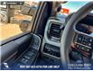 2026 Ford F-350 Platinum (Stk: 26T6268) in Red Deer - Image 17 of 25