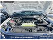 2026 Ford F-150 STX (Stk: 26T3246) in Olds - Image 10 of 24