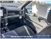 2026 Ford F-150 STX (Stk: 26T3246) in Olds - Image 24 of 24