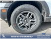 2026 Ford Bronco Sport Big Bend (Stk: 26AS0269) in Airdrie - Image 6 of 25