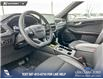 2025 Ford Escape ST-Line (Stk: 25AS9473) in Airdrie - Image 13 of 25 2025 Ford Escape ST-Line (Stk: 25AS9473) in Airdrie - Image 13 of 25