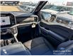 2026 Ford F-150 XLT (Stk: 26T8392) in Red Deer - Image 24 of 24 2026 Ford F-150 XLT (Stk: 26T8392) in Red Deer - Image 24 of 24